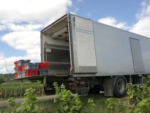 Refrigerated truck in the vineyards near Nuits-Saint-George.